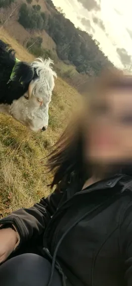Molly, 38